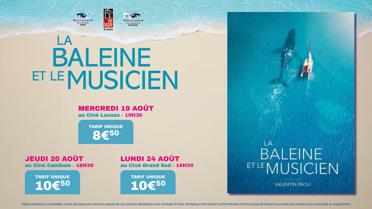 La Baleine et le musicien